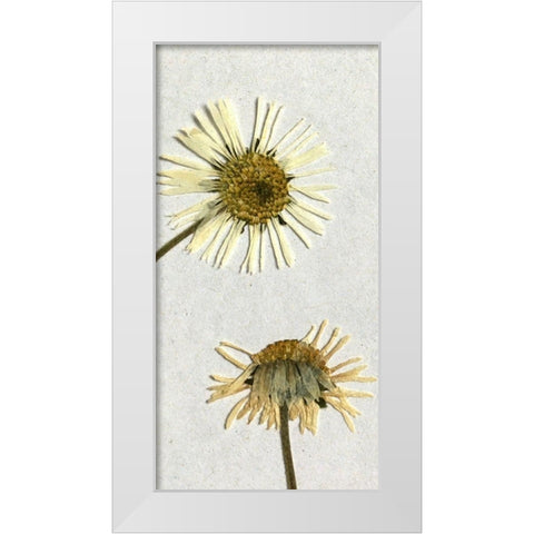 Happy 2 White Modern Wood Framed Art Print by Bailey, Ann