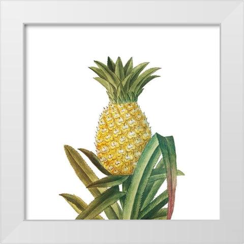Aloha 4 White Modern Wood Framed Art Print by Bailey, Ann