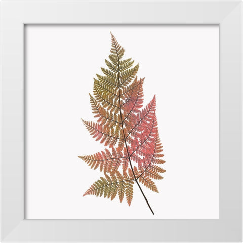 Coral Fern Gold 1 White Modern Wood Framed Art Print by Bailey, Ann