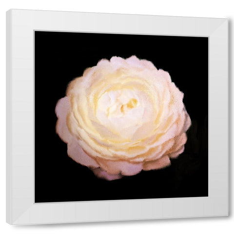 Rose Gold White Modern Wood Framed Art Print by Bailey, Ann