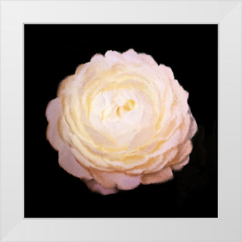 Rose Gold White Modern Wood Framed Art Print by Bailey, Ann