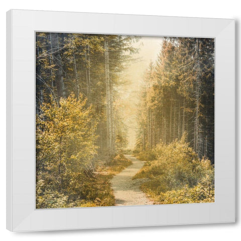 Golden Path White Modern Wood Framed Art Print by Bailey, Ann