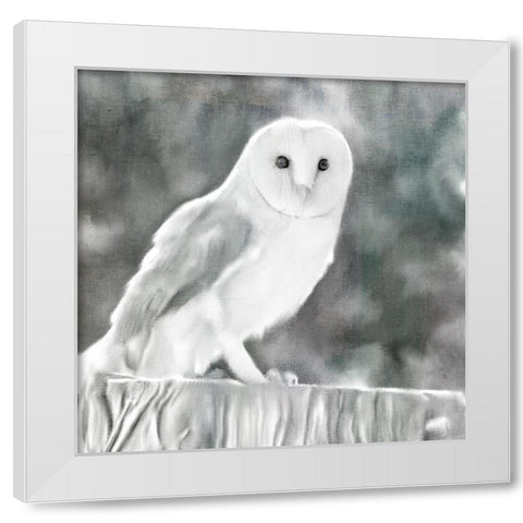 White Barn Owl White Modern Wood Framed Art Print by Bailey, Ann