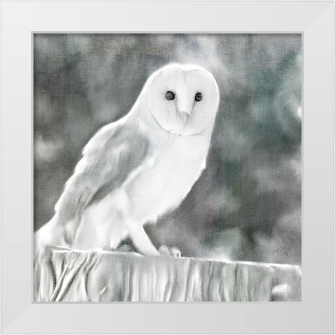 White Barn Owl White Modern Wood Framed Art Print by Bailey, Ann