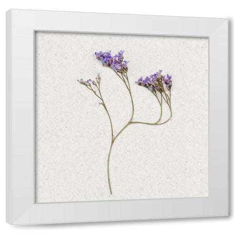 Dainty Purple 2 White Modern Wood Framed Art Print by Bailey, Ann