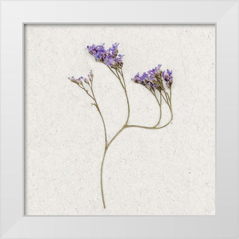 Dainty Purple 2 White Modern Wood Framed Art Print by Bailey, Ann