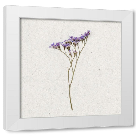 Dainty Purple 3 White Modern Wood Framed Art Print by Bailey, Ann