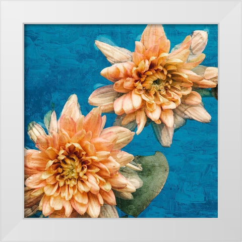 Orange Chrysanthemums White Modern Wood Framed Art Print by Bailey, Ann