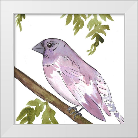 Vibrant Bird 2 White Modern Wood Framed Art Print by Dyer, Beverly