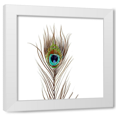 Peacock Single 2 White Modern Wood Framed Art Print by Boho Hue Studio