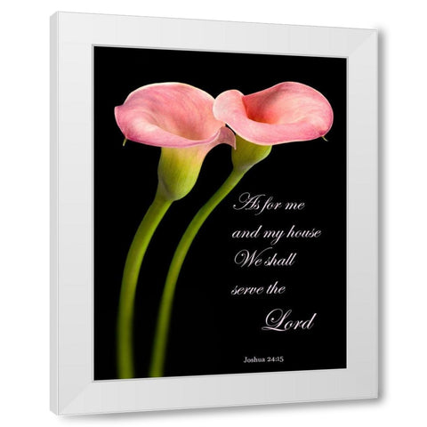 Joshua 24.15 Calla Lilies White Modern Wood Framed Art Print by Seidman, Barry