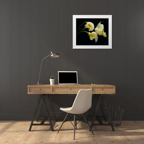 Three Calla Lillies White Modern Wood Framed Art Print by Seidman, Barry