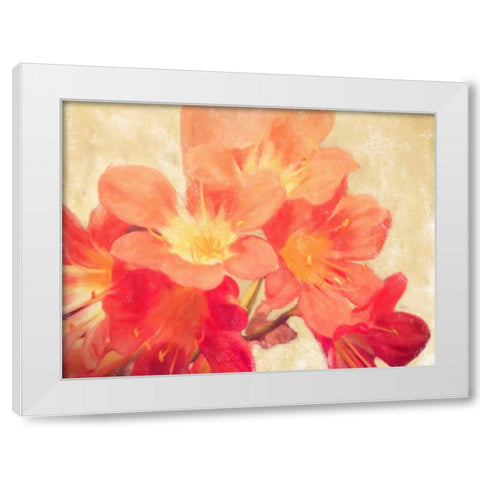 Sun Fire Florals White Modern Wood Framed Art Print by Alvarez, Cynthia