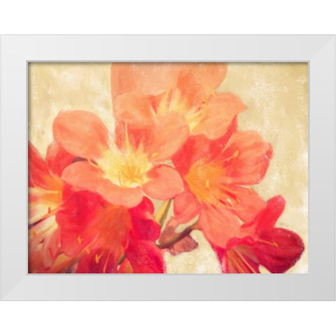 Sun Fire Florals White Modern Wood Framed Art Print by Alvarez, Cynthia