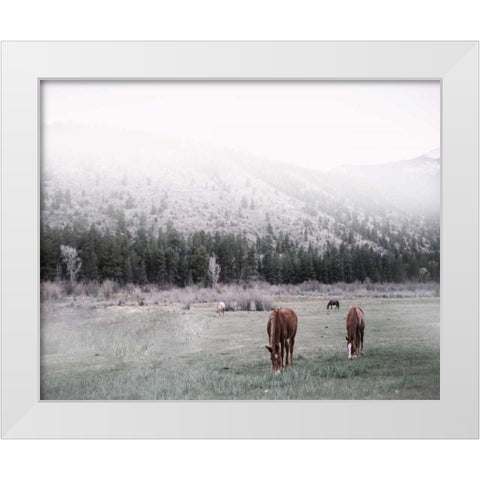 Grazing White Modern Wood Framed Art Print by Alvarez, Cynthia
