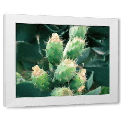 Sharp Needles White Modern Wood Framed Art Print by Alvarez, Cynthia