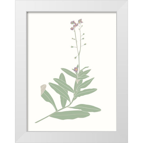 Wildflower Forget Me Nots White Modern Wood Framed Art Print by Sweet Melody Designs
