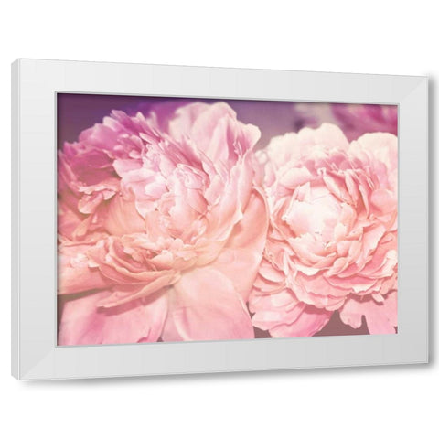 Pink Peony White Modern Wood Framed Art Print by Davis Ashley