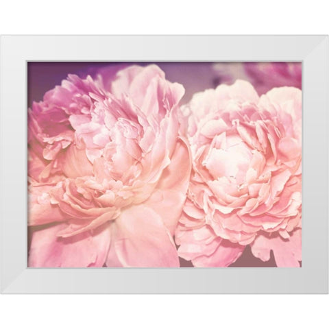 Pink Peony White Modern Wood Framed Art Print by Davis Ashley
