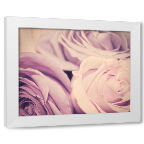 Purple vintage roses White Modern Wood Framed Art Print by Davis Ashley