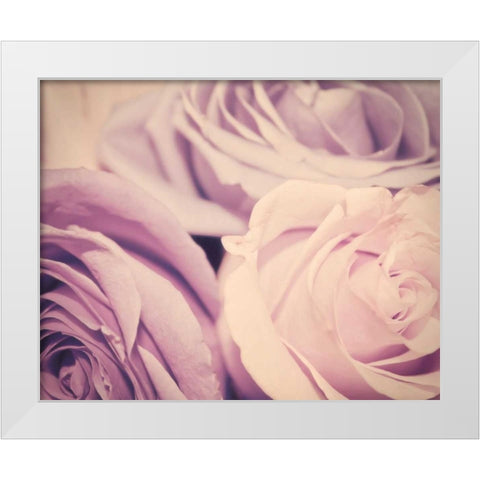 Purple vintage roses White Modern Wood Framed Art Print by Davis Ashley