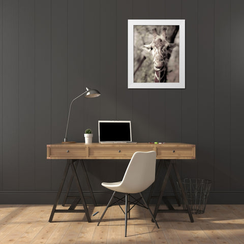 Giraffe whats up White Modern Wood Framed Art Print by Davis Ashley