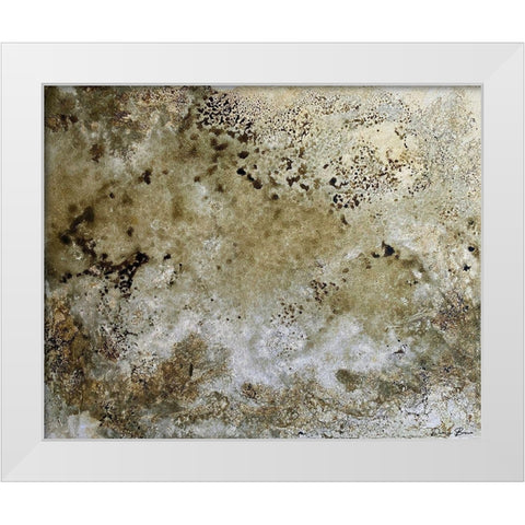 Fissures 2 White Modern Wood Framed Art Print by Brown, Denise