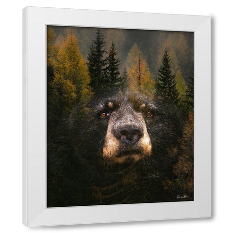 Through The Trees White Modern Wood Framed Art Print by Brown, Denise