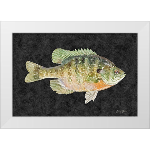 Blue Gill White Modern Wood Framed Art Print by Brown, Denise