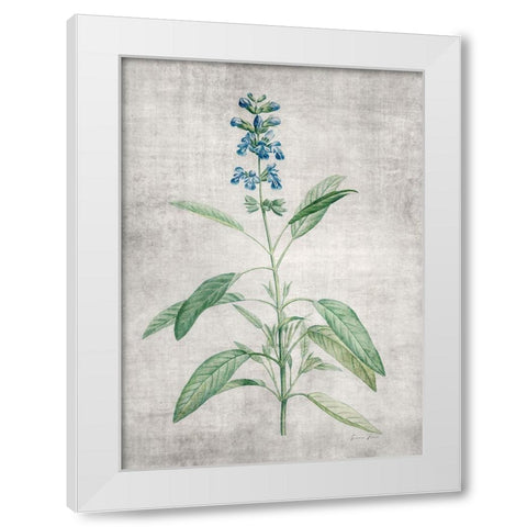 Blue Botanical 1 White Modern Wood Framed Art Print by Brown, Denise