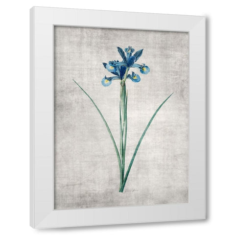 Blue Botanical 2 White Modern Wood Framed Art Print by Brown, Denise