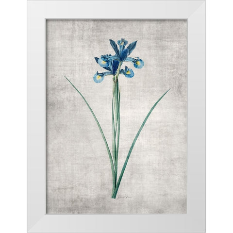 Blue Botanical 2 White Modern Wood Framed Art Print by Brown, Denise