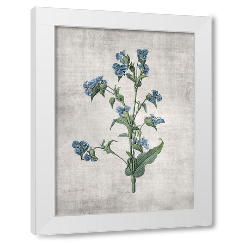 Blue Botanical 4 White Modern Wood Framed Art Print by Brown, Denise