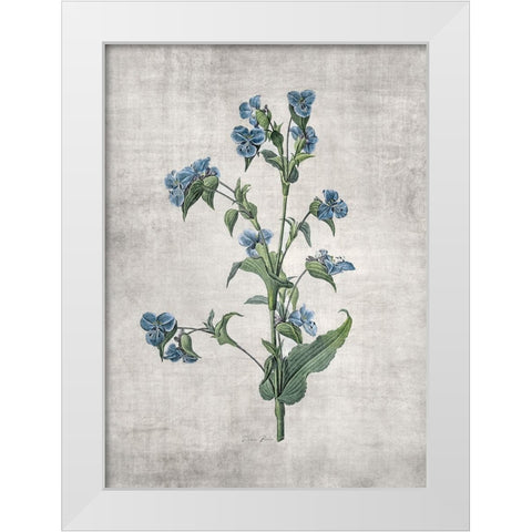 Blue Botanical 4 White Modern Wood Framed Art Print by Brown, Denise
