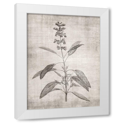 Sepia Botanical 1 White Modern Wood Framed Art Print by Brown, Denise