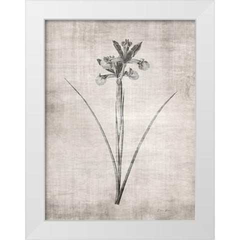 Sepia Botanical 2 White Modern Wood Framed Art Print by Brown, Denise