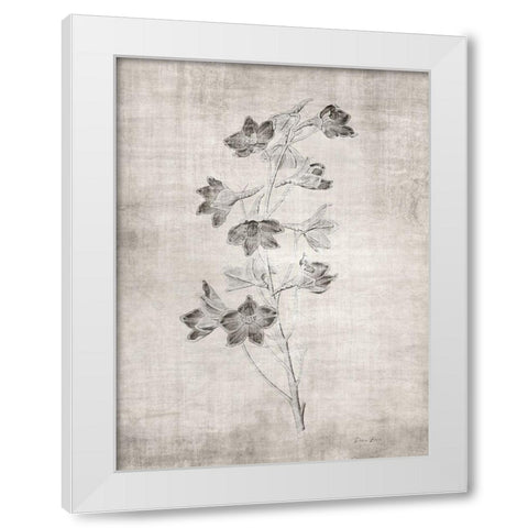 Sepia Botanical 3 White Modern Wood Framed Art Print by Brown, Denise