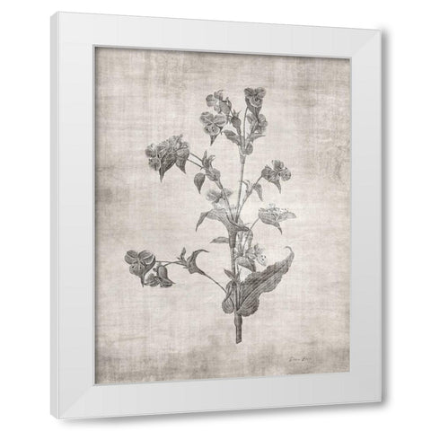 Sepia Botanical 4 White Modern Wood Framed Art Print by Brown, Denise