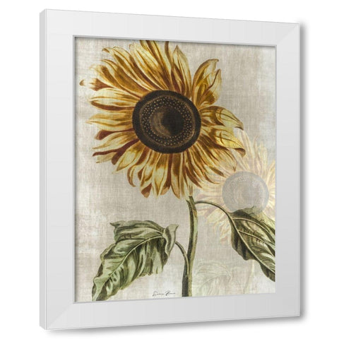 Sunflower 1 White Modern Wood Framed Art Print by Brown, Denise