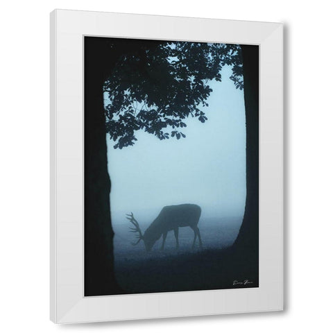 Grazing White Modern Wood Framed Art Print by Brown, Denise