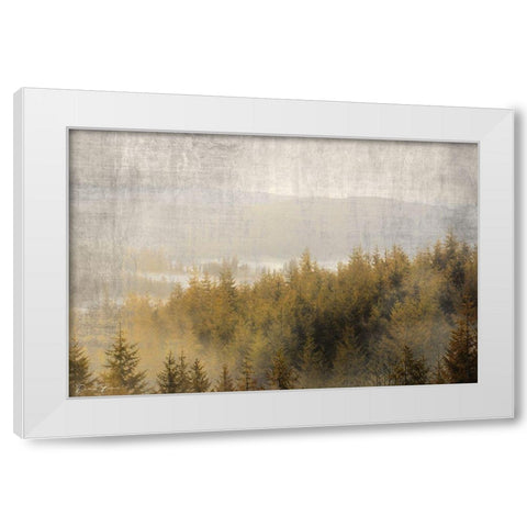 Pine Tops White Modern Wood Framed Art Print by Brown, Denise