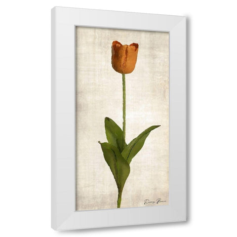 Stem 1 White Modern Wood Framed Art Print by Brown, Denise