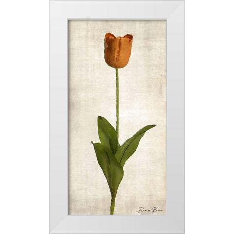 Stem 1 White Modern Wood Framed Art Print by Brown, Denise