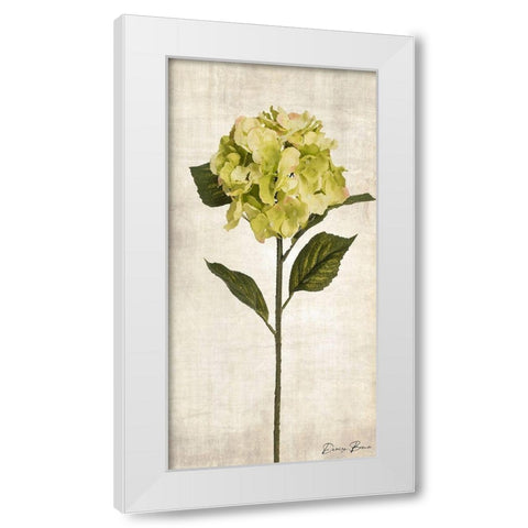 Stem 2 White Modern Wood Framed Art Print by Brown, Denise