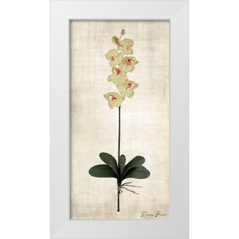 Stem 3 White Modern Wood Framed Art Print by Brown, Denise