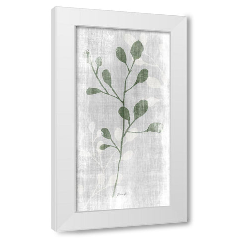 Stem in Nature 2 White Modern Wood Framed Art Print by Brown, Denise