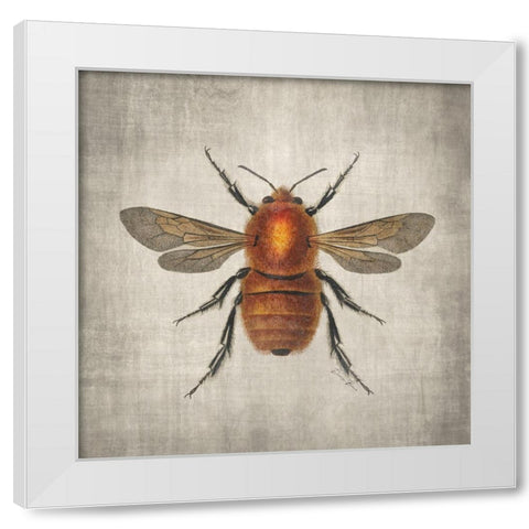 Brilliant Bee 1 White Modern Wood Framed Art Print by Brown, Denise