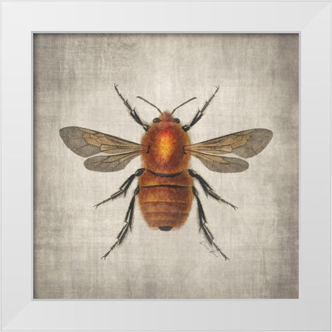 Brilliant Bee 1 White Modern Wood Framed Art Print by Brown, Denise