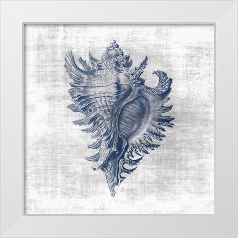 Sea Life 1 White Modern Wood Framed Art Print by Brown, Denise