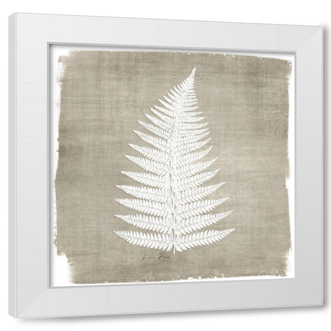 Natures Fern 1 White Modern Wood Framed Art Print by Brown, Denise